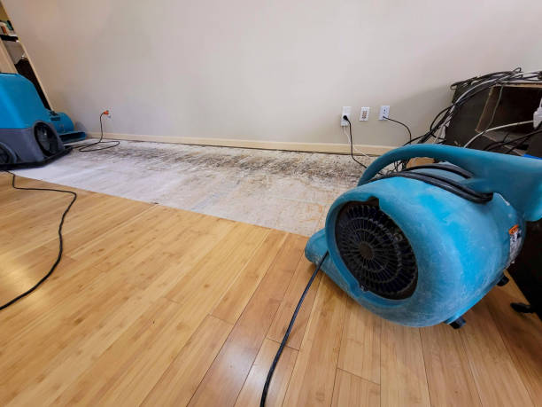 Professional Structural Drying technician working in River Rouge, MI